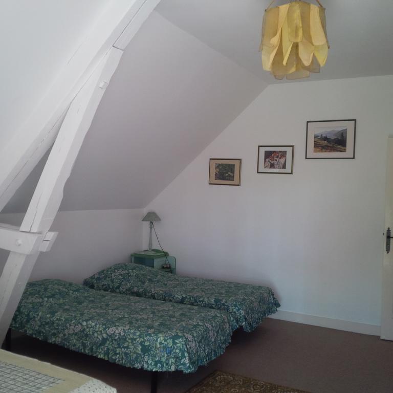 Manoir De La Rousselliere Aparthotel Loches Habitación foto